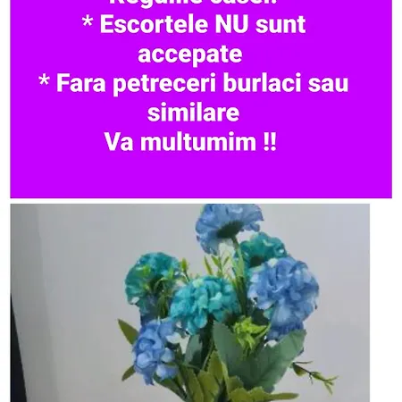 Casa Sebastian Appartamento Constanţa